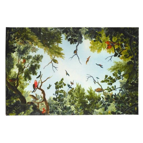 CIELO & TERRA - Opinion Ciatti