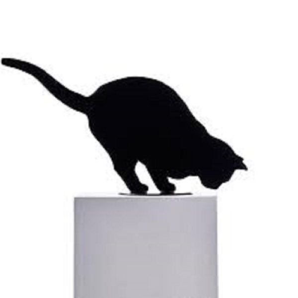 Ombres de Chats