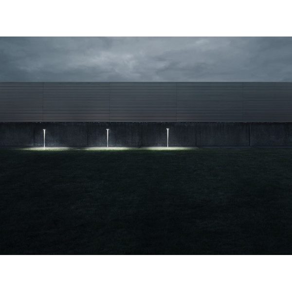 Belvedere Clove 2