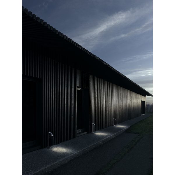 Belvedere Spot F2