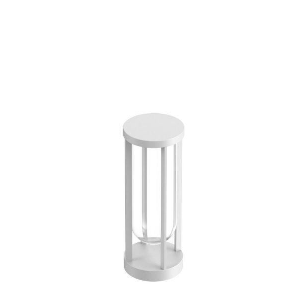 In Vitro Bollard 1