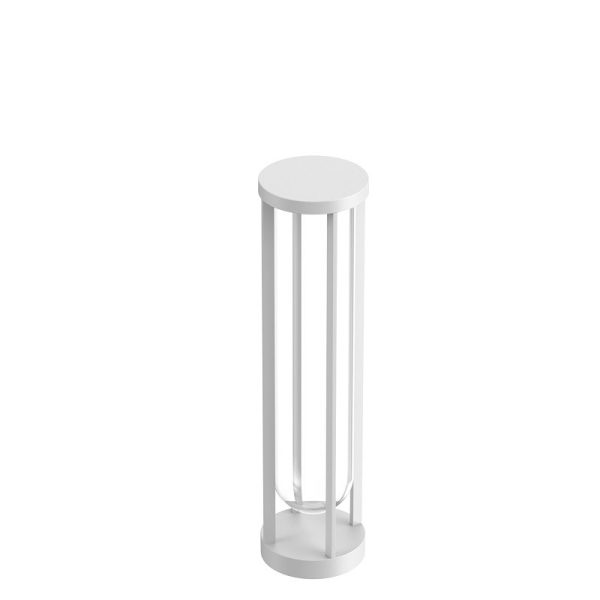 In Vitro Bollard 2
