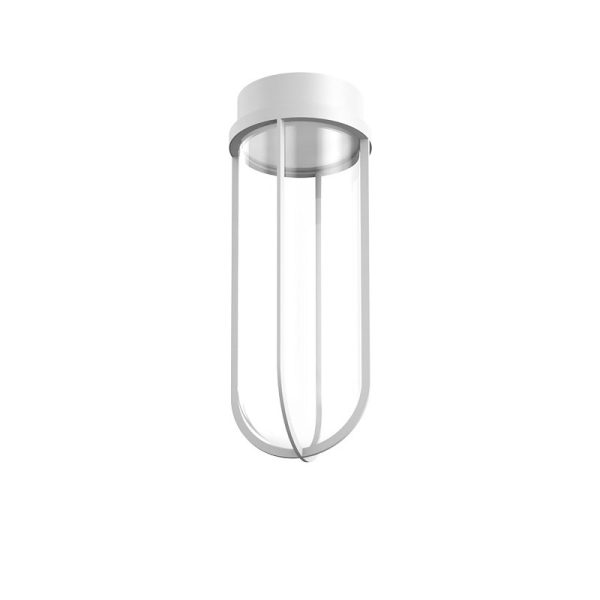 In Vitro Ceiling