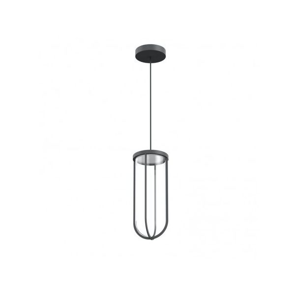 IN VITRO SUSPENSION - FLOS