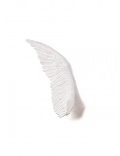 MEMORABILIA MVUSEVM ALA...