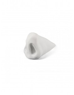 MEMORABILIA MVUSEVM NASO -... 2