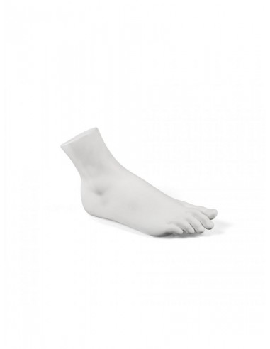 MEMORABILIA MVUSEVM PIEDE DI DONNA -...