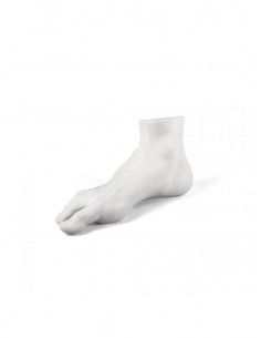 MEMORABILIA MVUSEVM PIEDE... 2