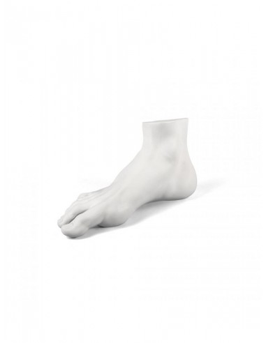 MEMORABILIA MVUSEVM PIEDE DI UOMO -...