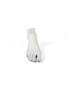 MEMORABILIA MVUSEVM PIEDE...