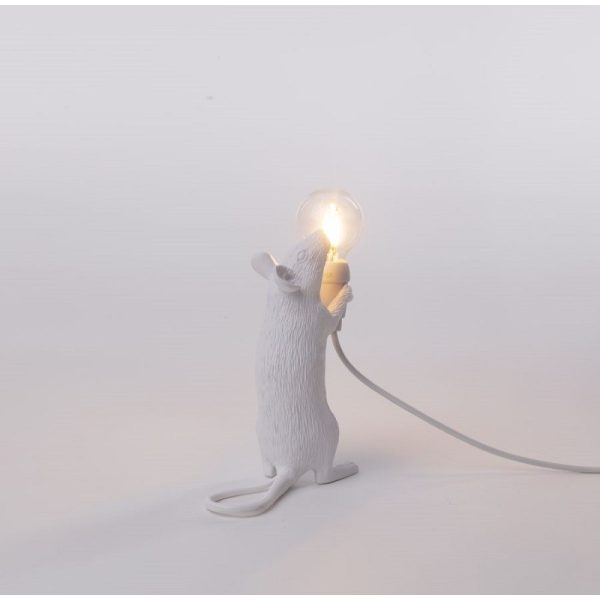 Mouse Lamp Step