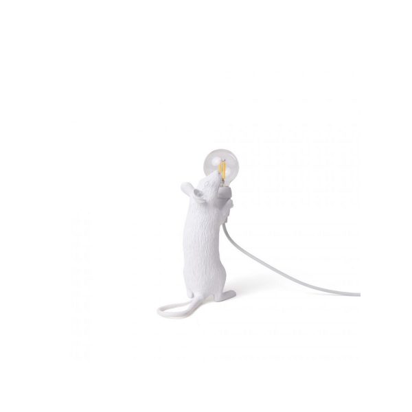Mouse Lamp Step