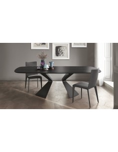 PRORA 250 botte - BONALDO 2