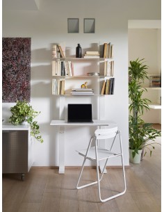 PACIFICO - Opinion Ciatti