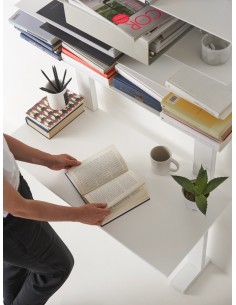 PACIFICO - Opinion Ciatti 2