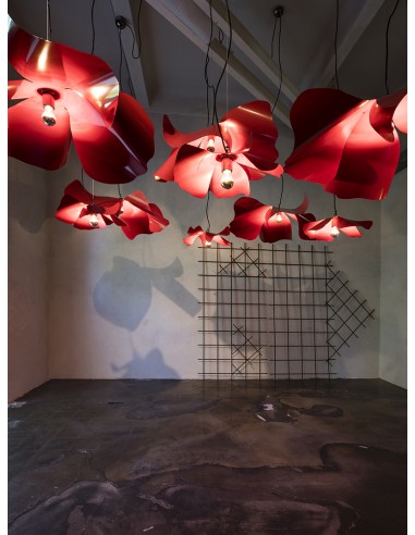 LAMPADA PAPAVERO RAGGIANTE - Opinion...