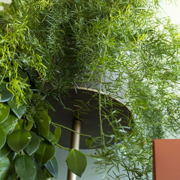 IKEBANA credenza - MOGG