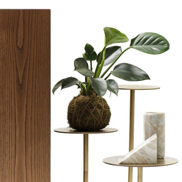 Ikebana madia
