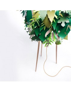 AMAZZONIO da terra - MOGG 2