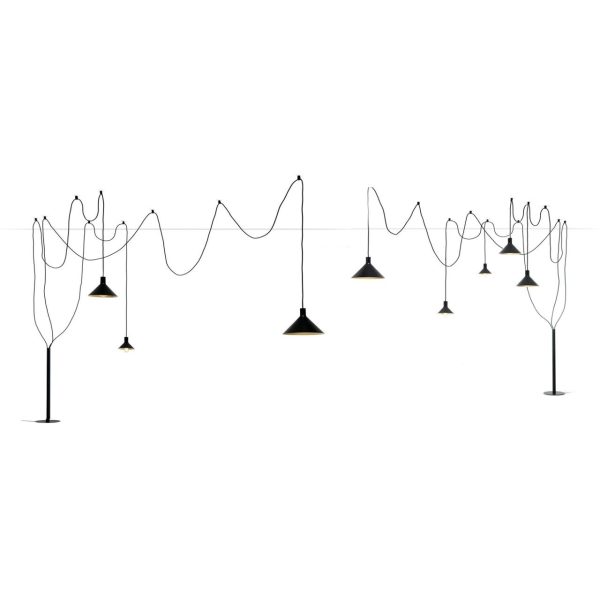 Cerberina