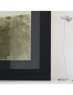 PAPAVERO DELICATO  -...