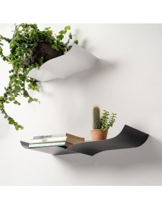 Mensola Nori - Opinion Ciatti