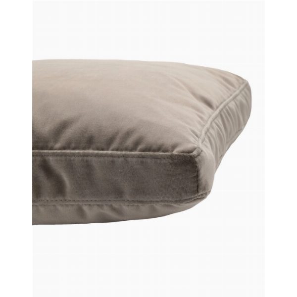 Cushion