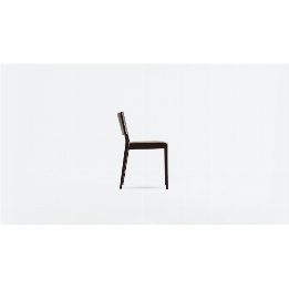 A Chair in the Forest
