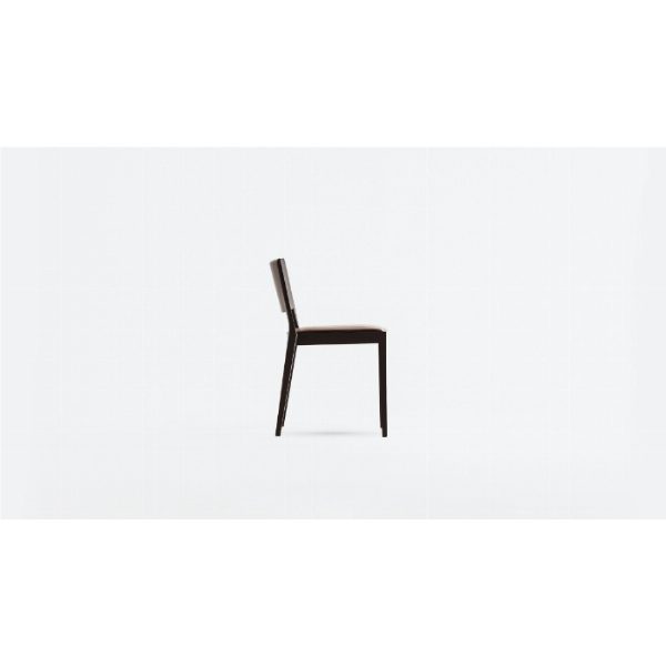 A Chair in the Forest