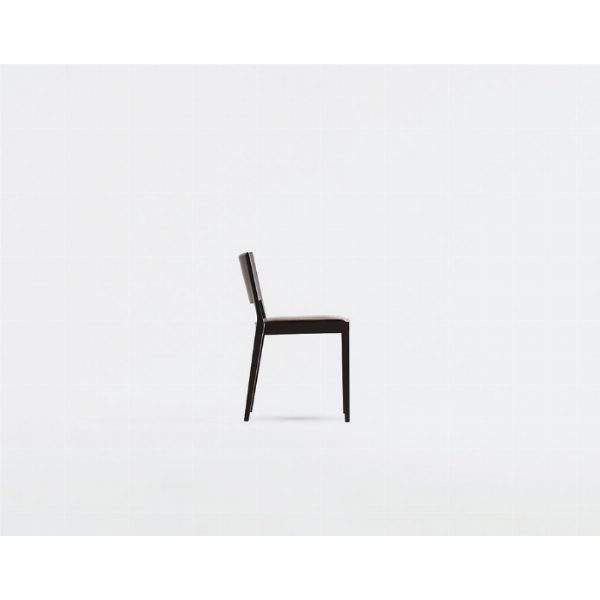 A Chair in the Forest