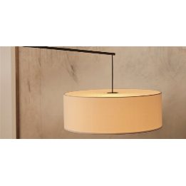 DT Light 25
