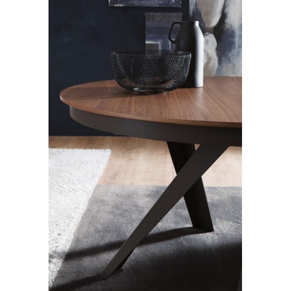 Emisfero Legno