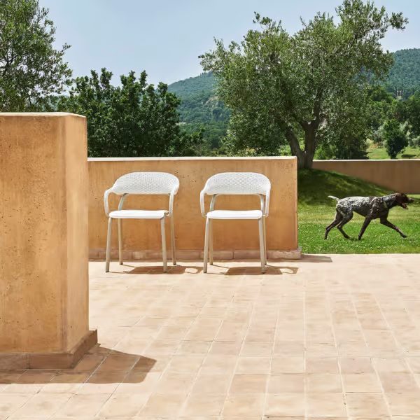 NOSS Dining armchair
