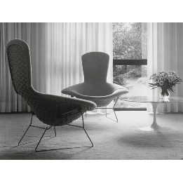 Bertoia Bird Chair