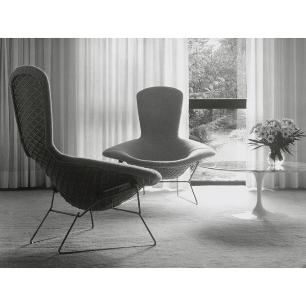 Bertoia Bird Chair