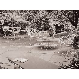 Petal® Coffee Table