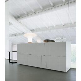 Madia Ortelia