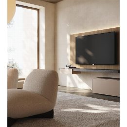 Mobile TV LT40