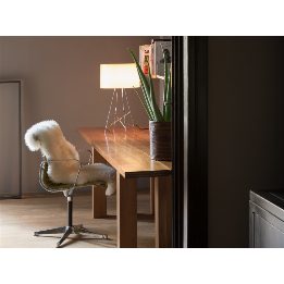 Ray Table