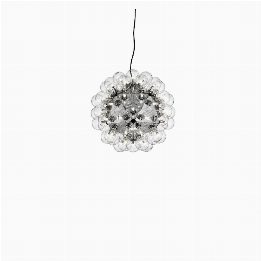 Taraxacum 88 Suspension 1