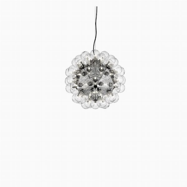 Taraxacum 88 Suspension 1