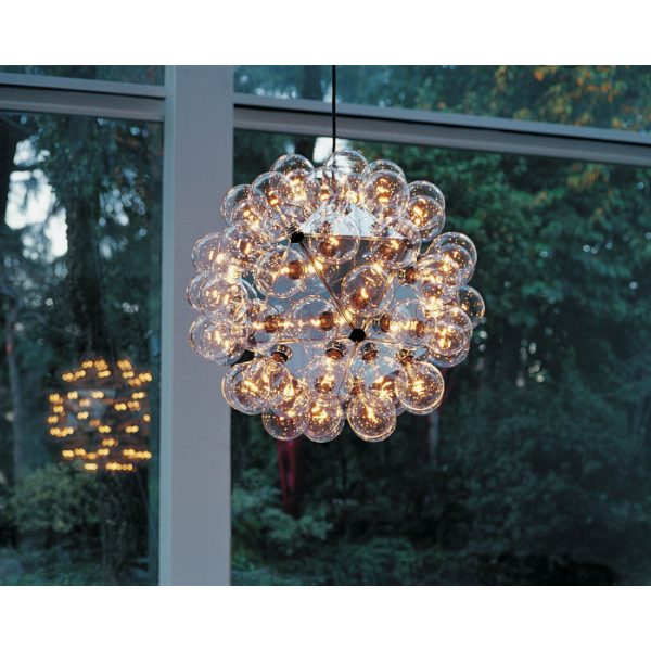 Taraxacum 88 Suspension 1