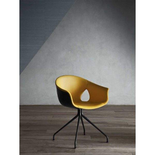 Ginger Ale | Poltroncina