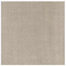 Soft Elegance for Contemporary Homes – AMALIA BEIGE High Pile Modern Rug