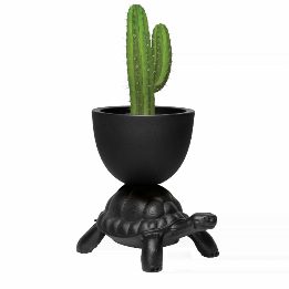 Turtle Carry Planter and Champagne Cooler
