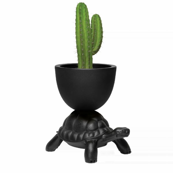 Turtle Carry Planter and Champagne Cooler