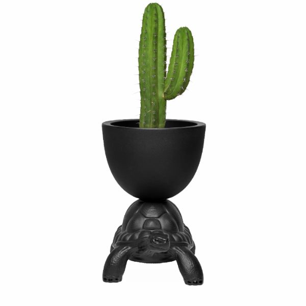Turtle Carry Planter and Champagne Cooler
