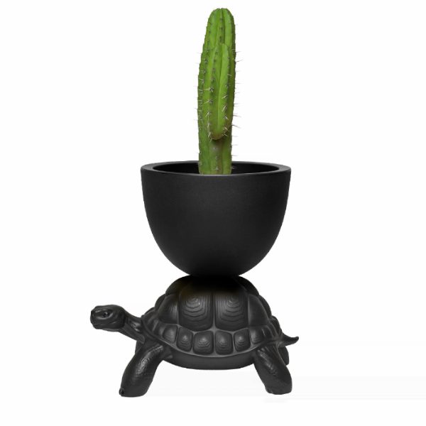 Turtle Carry Planter and Champagne Cooler