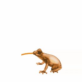 Hungry Frog Lamp