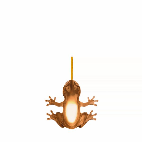 Hungry Frog Lamp